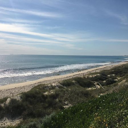 Ocean Beach Backpackers Hostel Perth Kültér fotó